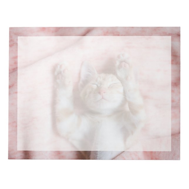 Bloco De Notas Bebês Mais Pobres | Pequeno Gato De Laranja (Frente)