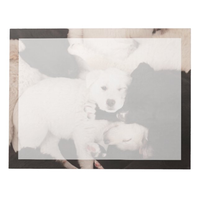 Bloco De Notas Bebês Mais Pobres | Pilha de mamilos (Frente)