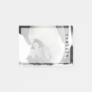 Bloco De Notas Bebês Mais Pobres Pinguim-imperador