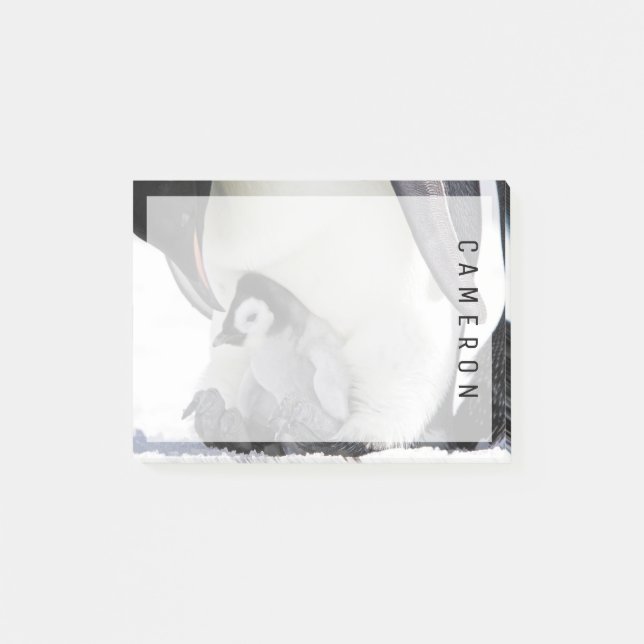 Bloco De Notas Bebês Mais Pobres | Pinguim-imperador (Frente)