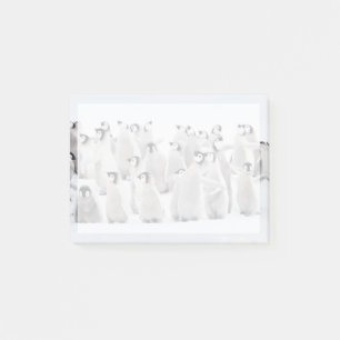 Bloco De Notas Bebês Mais Pobres Pintinhos Imperadores Pinguins