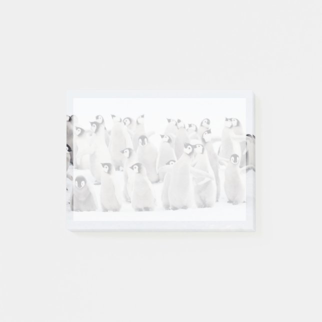 Bloco De Notas Bebês Mais Pobres | Pintinhos Imperadores Pinguins (Frente)
