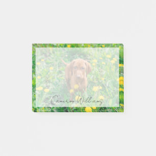 Bloco De Notas Bebês Mais Pobres Pointer Puppy