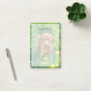 Bloco De Notas Bebês Mais Pobres Pointer Puppy
