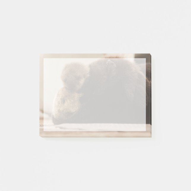 Bloco De Notas Bebês Mais Pobres | Pup Externo Recém-Nascido (Frente)