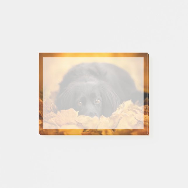 Bloco De Notas Bebês Mais Pobres | Puppia Espanhola Negra (Frente)