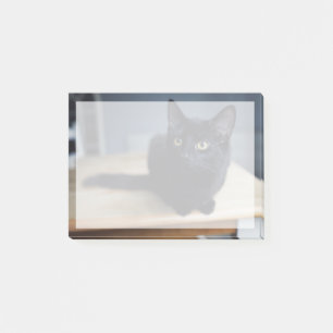 Bloco De Notas Bebês Mais Pobres   Retrato de um Gato Negro