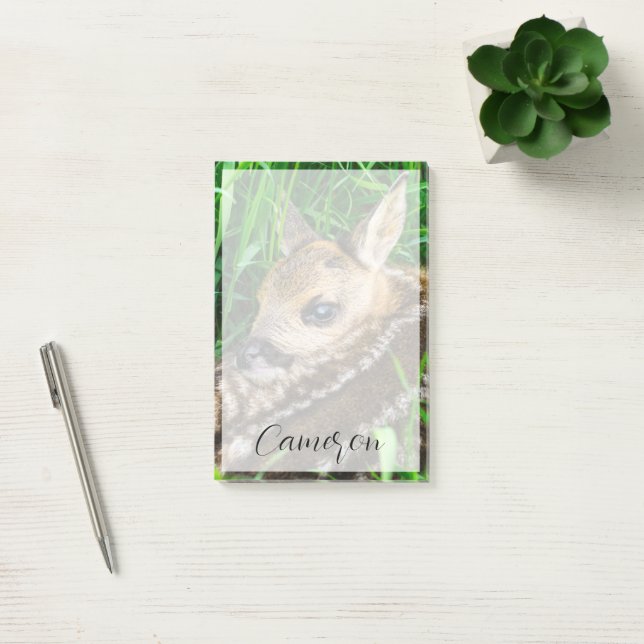 Bloco De Notas Bebês Mais Pobres | Roe Deer Baby (Escritótio)