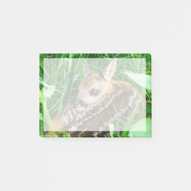 Bloco De Notas Bebês Mais Pobres | Roe Deer Baby (Frente)