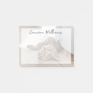 Bloco De Notas Bebês Mais Pobres Shorthair Tabby Kitten