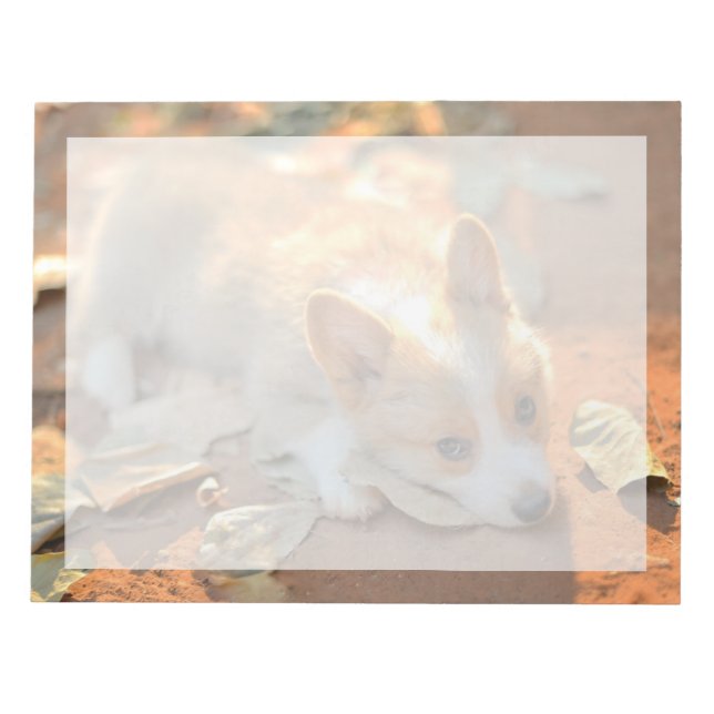 Bloco De Notas Bebês Mais Pobres | Shy Corgi (Frente)