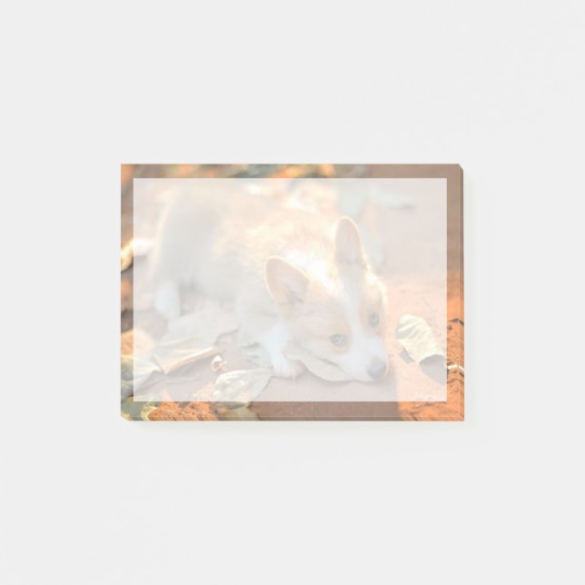 Bloco De Notas Bebês Mais Pobres | Shy Corgi (Frente)