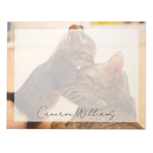 Bloco De Notas Bebês Mais Pobres Tabby Kitten Kiss