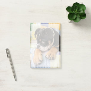 Bloco De Notas Bebês Mais Pobres Tímido Bulldog Inglês
