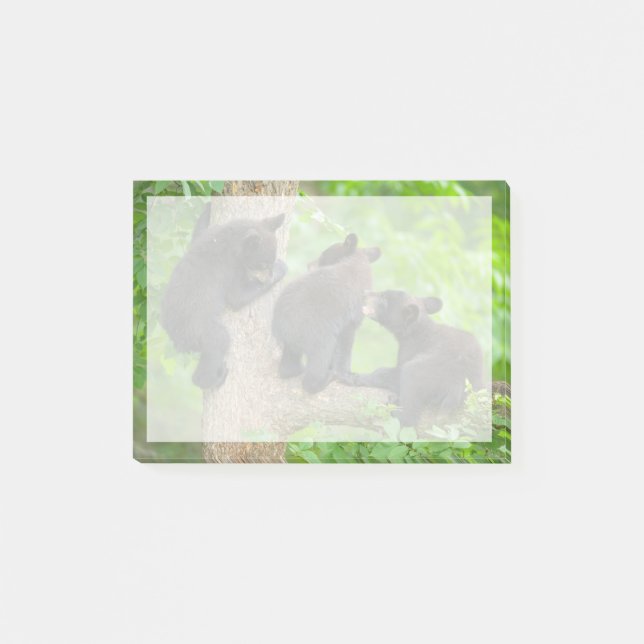 Bloco De Notas Bebês Mais Pobres | Três Jovem Urso Negro (Frente)