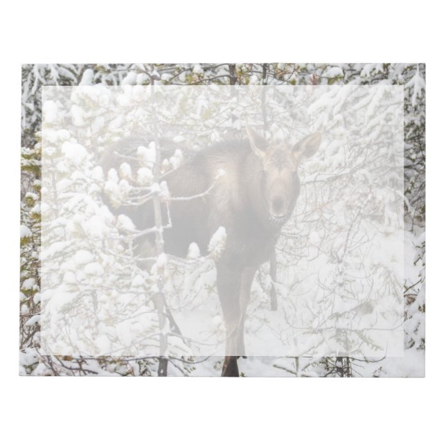 Bloco De Notas Bebês Mais Pobres | Vitelo de Moose (Frente)