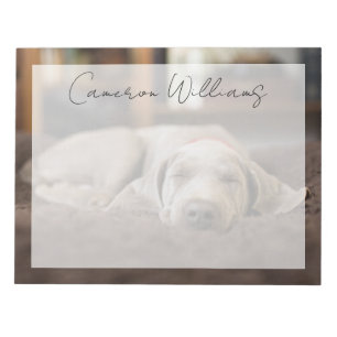 Bloco De Notas Bebês Mais Pobres Weimaraner Cãozinho Dormir