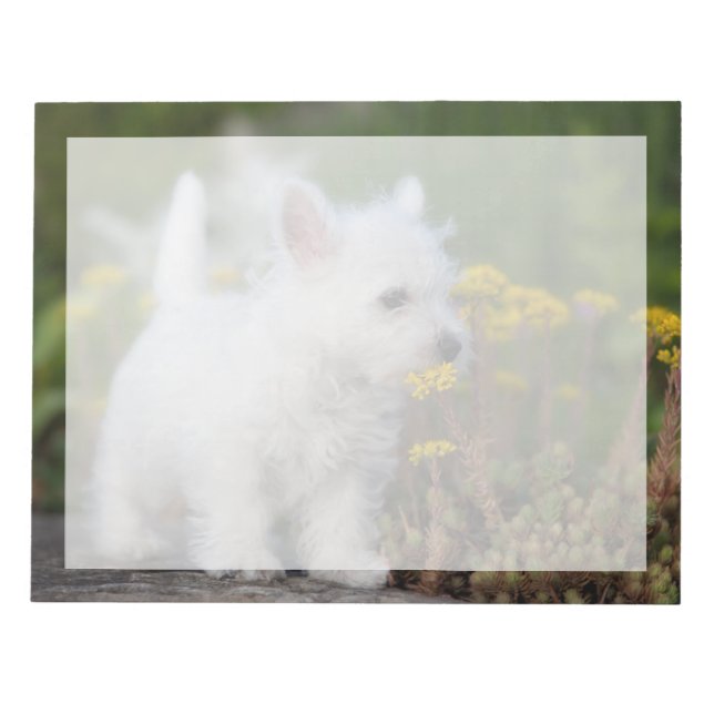 Bloco De Notas Bebês Mais Pobres | West Highland White Terrier (Frente)