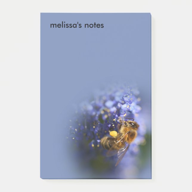 Bloco De Notas Bela Abelha de Honeybee no Lilac da Califórnia (Frente)