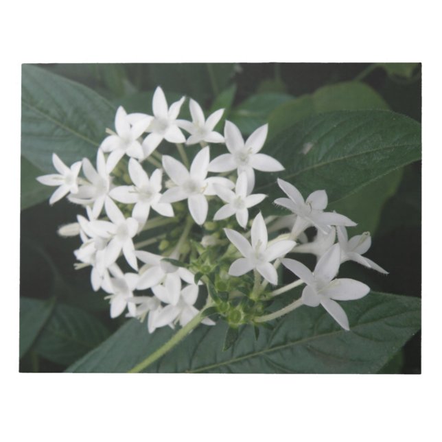 Bloco De Notas Bela Flores Tropicais Brancas Notepad (Frente)