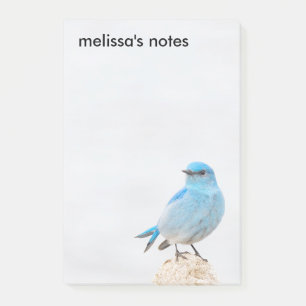 Bloco De Notas Bela Montanha Bluebird