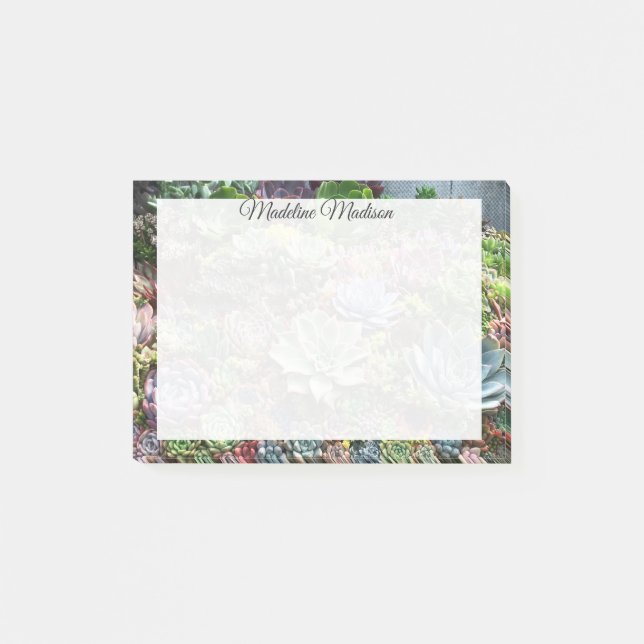 Bloco De Notas Belos Sucultos (Frente)