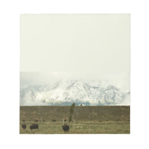Bloco De Notas Bison no Grand Teton National Park Fotografia