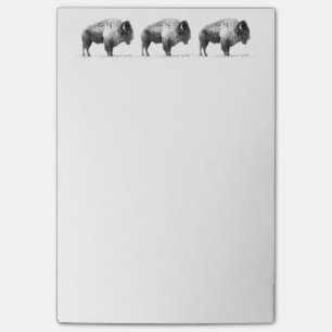 Bloco De Notas Bisonte americano