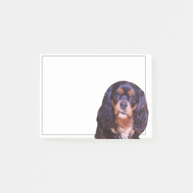 Bloco De Notas Black and Tan King Charles Spaniel Posta (Frente)