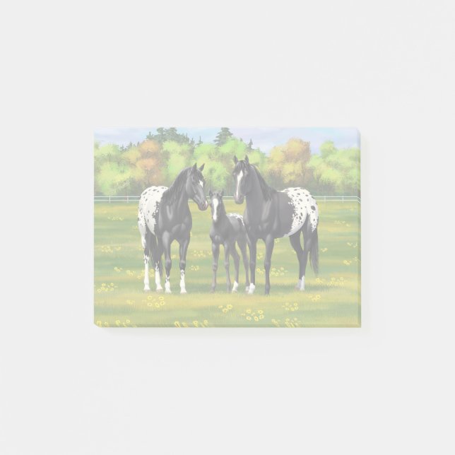 Bloco De Notas Black Appaloosa Horses In Summer Pasture (Frente)