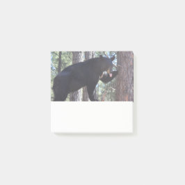 Bloco De Notas Black Bear Post it Notes