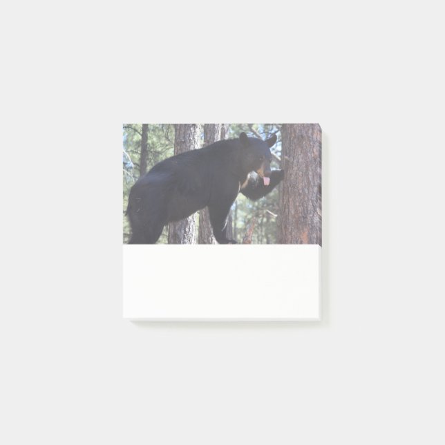 Bloco De Notas Black Bear Post it Notes (Frente)