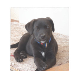 Bloco De Notas Black Labrador Retriever Puppy