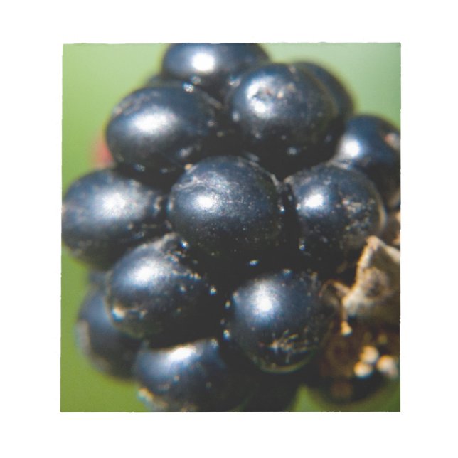 Bloco De Notas Blackberries (Frente)