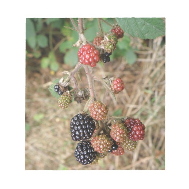 Bloco De Notas Blackberry Bonanza Notepad (Frente)