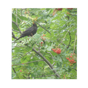 Bloco De Notas Blackbird e Berries Notepad