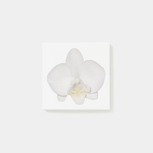 Bloco De Notas Blocos de Notas Adesivos Orquídea Branca (Frente)