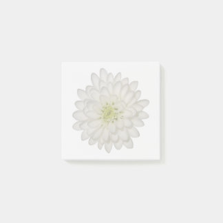 Bloco De Notas Blocos de Notas Adhesivos de Crisântemo Branco