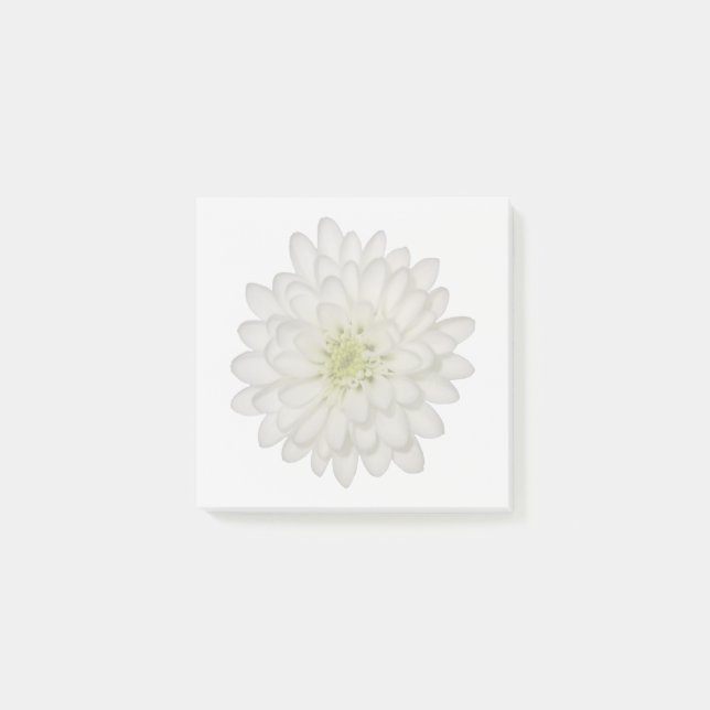 Bloco De Notas Blocos de Notas Adhesivos de Crisântemo Branco (Frente)