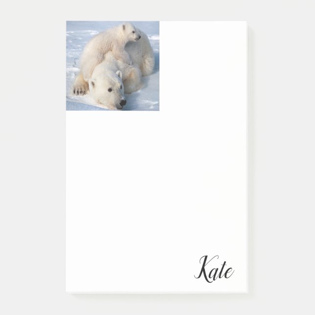 Bloco De Notas Blocos de Notas Urso Polar (Frente)