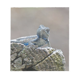 Bloco De Notas Blue Belly Alligator Lizard