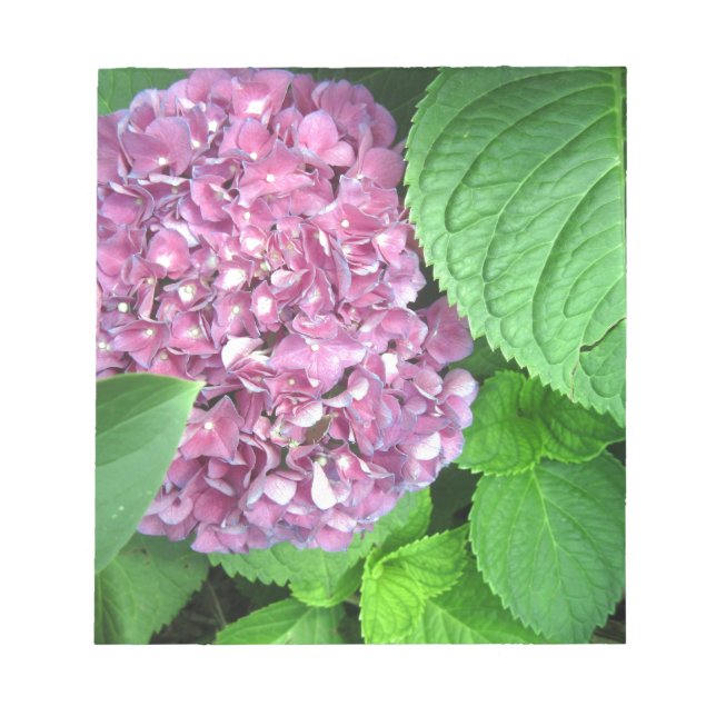 Bloco De Notas Bola de Neve (Frente)