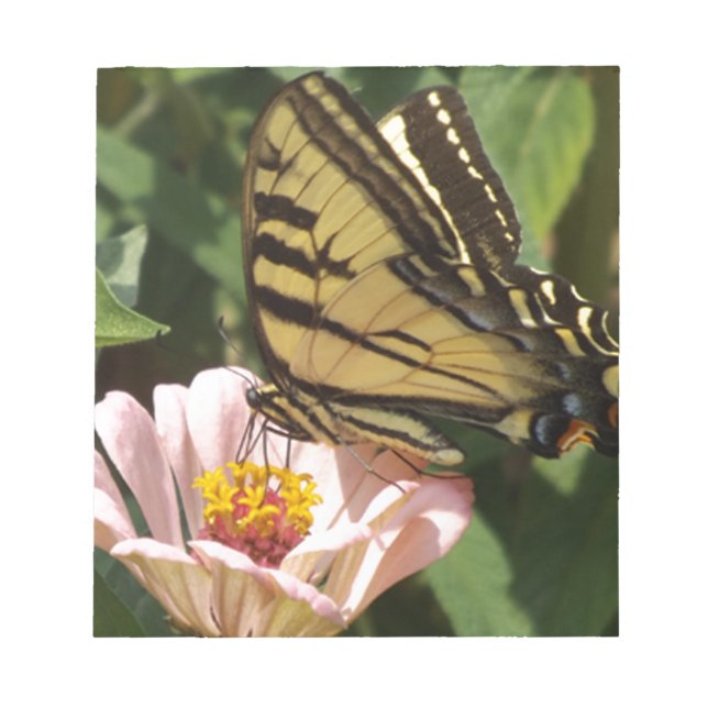 Bloco De Notas Borboleta e Flor (Frente)