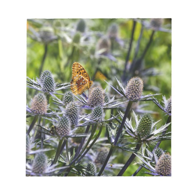 Bloco De Notas Borboleta Fritilar Sobre O Astro Azul (Frente)