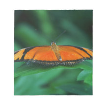 Borboleta laranja brilhante e preta na folha