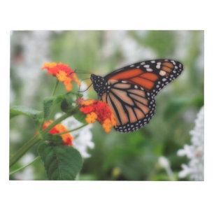 Bloco De Notas Borboleta Monarca em Laranja e Lantana Vermelha