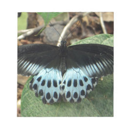 Bloco De Notas Borboleta Mórmon Iridescente Azul