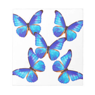Bloco De Notas "Borboleta Morpho"の 優 良 製 品