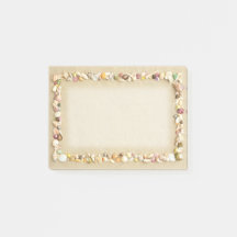 Borda da Areia de Seashell Beach