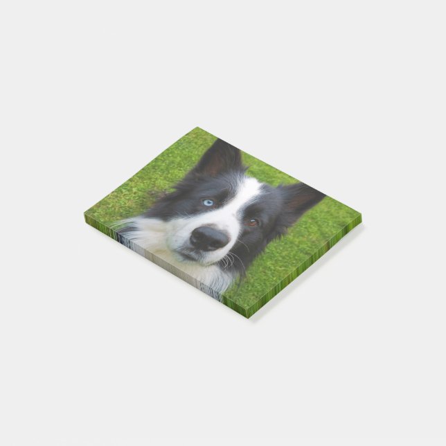 Bloco De Notas Border Collie (Inclinado)